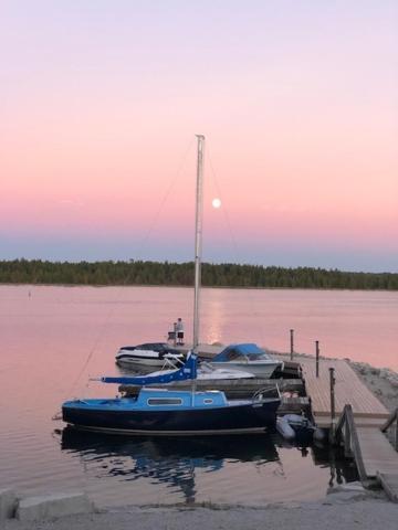 Tamarac Island Motel Stokes Bay Esterno foto