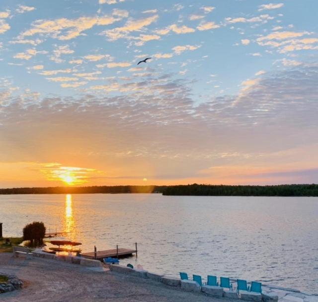 Tamarac Island Motel Stokes Bay Esterno foto