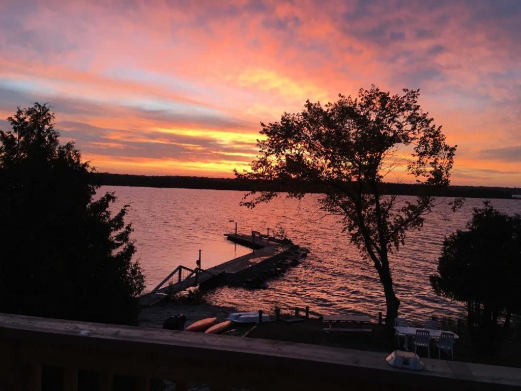 Tamarac Island Motel Stokes Bay Esterno foto